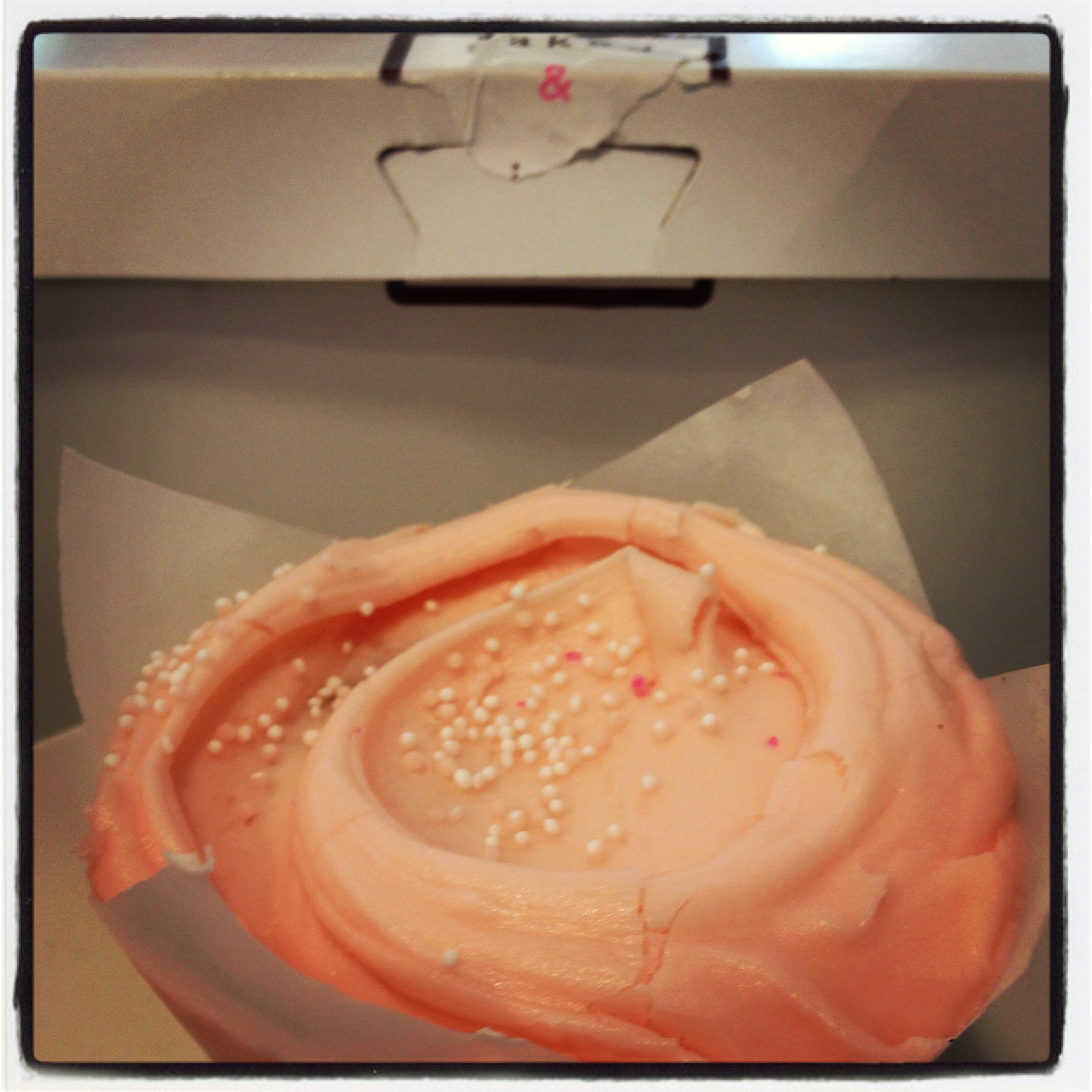Guest Post: To #foodgram or Not to #foodgram?