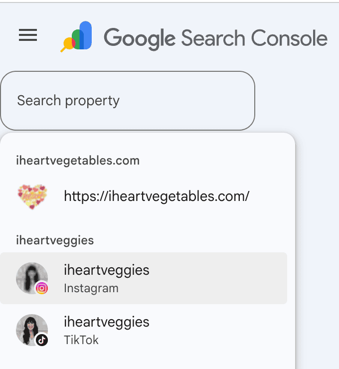 Google Search Console Can Finally Show You How Search Finds Your Instagram, TikTok, and YouTube